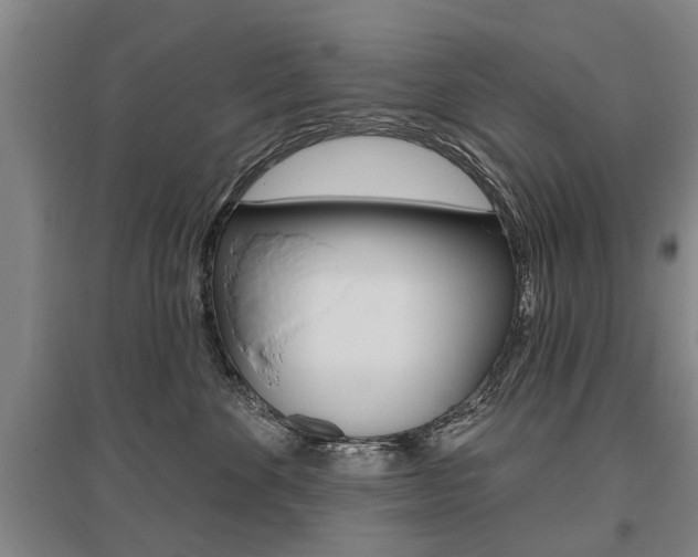 X0000095880524200801110808