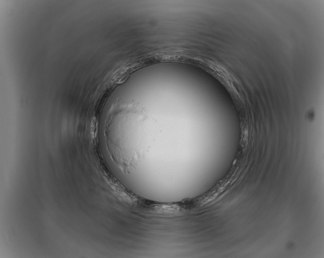 X0000095880525200801110808