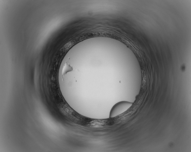 X0000095880526200801110808