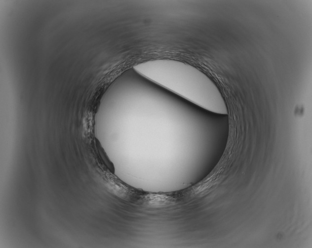 X0000095880528200801110808