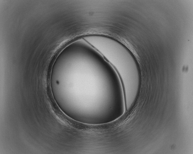 X0000095880530200801110807