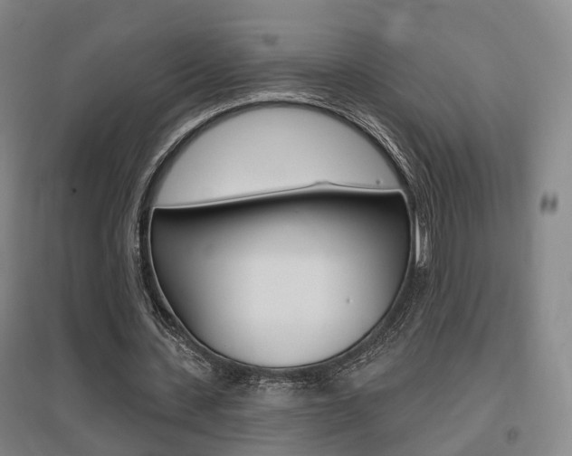 X0000095880531200801110807
