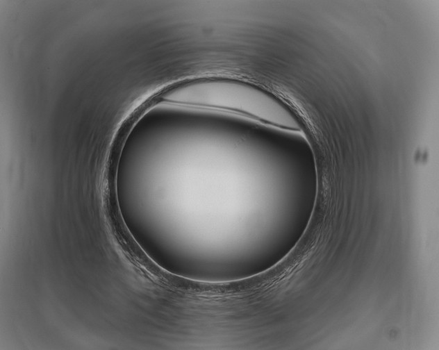 X0000095880532200801110807