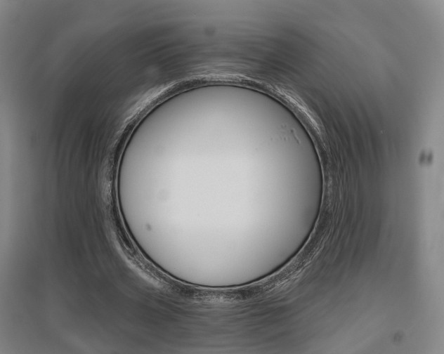 X0000095880533200801110807