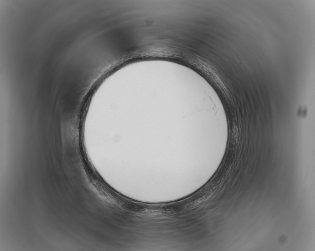 X0000095880534200801110807