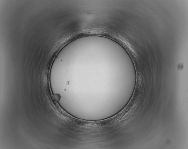X0000095880537200801110807
