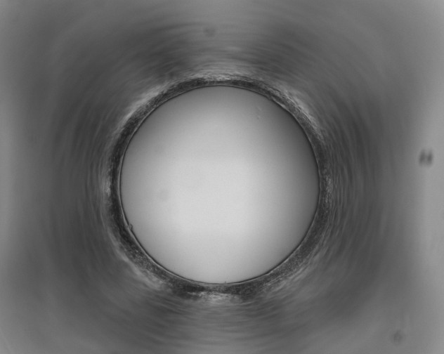 X0000095880539200801110807