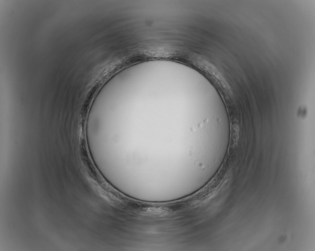 X0000095880541200801110807
