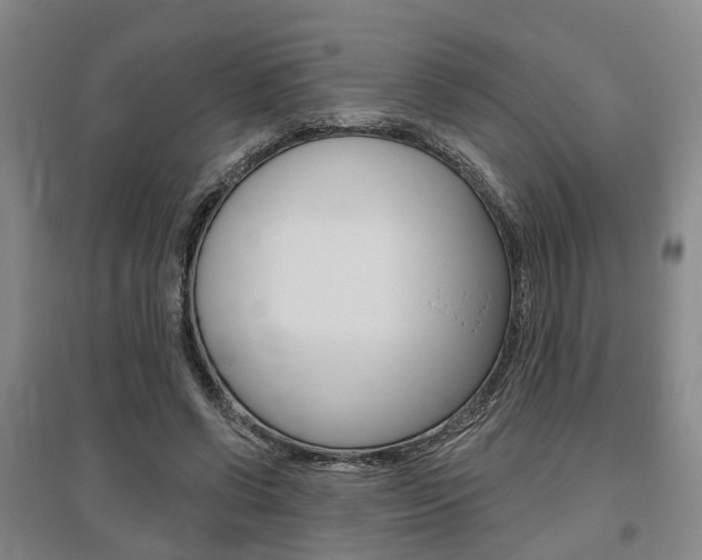 X0000095880542200801110807