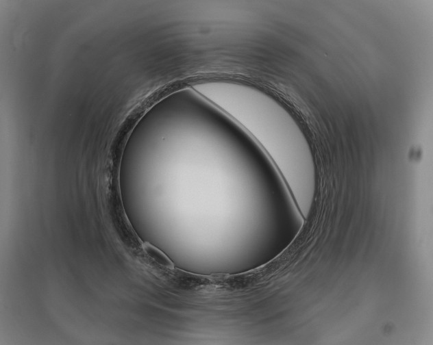 X0000095880544200801110807