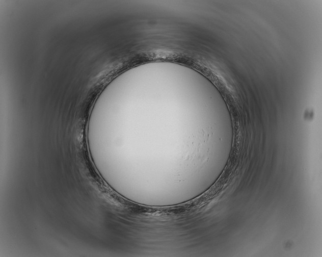 X0000095880545200801110807