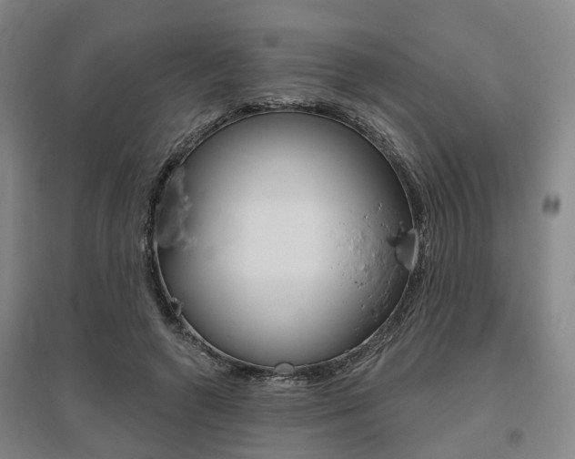 X0000095880546200801110807