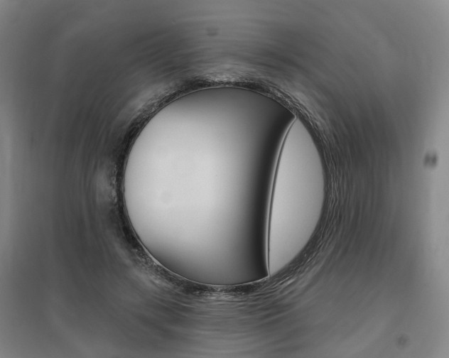 X0000095880547200801110807