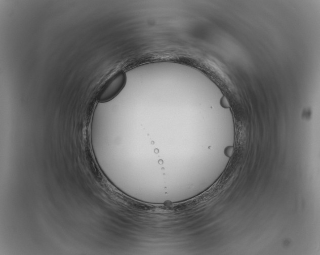 X0000095880549200801110807