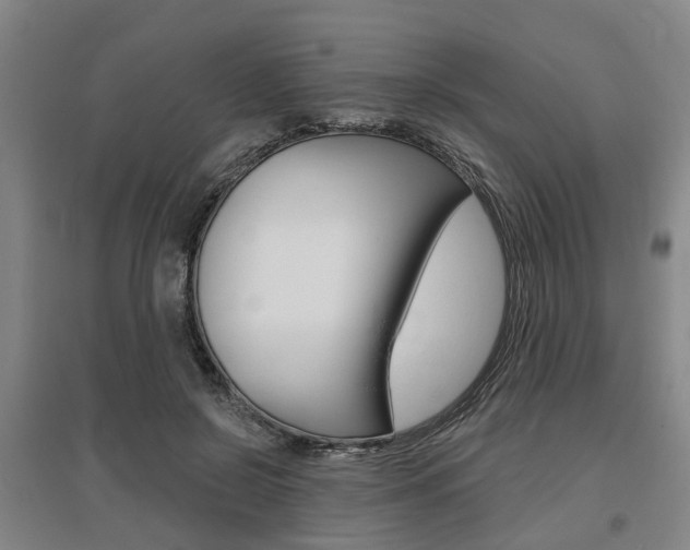 X0000095880550200801110807