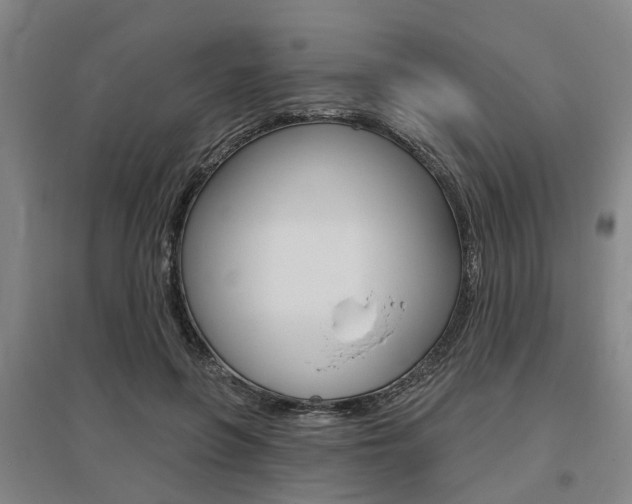 X0000095880551200801110807