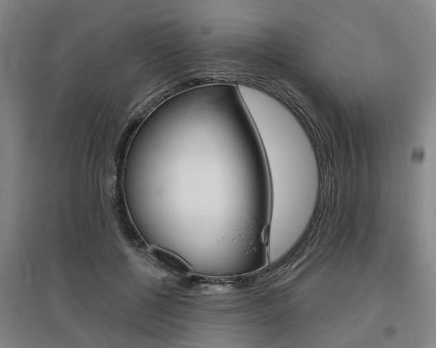 X0000095880552200801110807