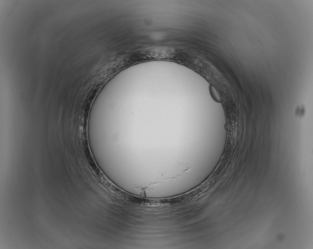 X0000095880553200801110807