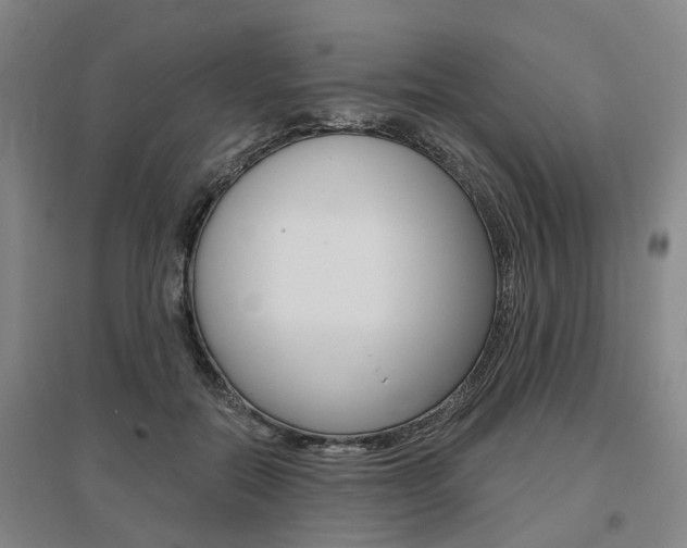 X0000095880554200801110807