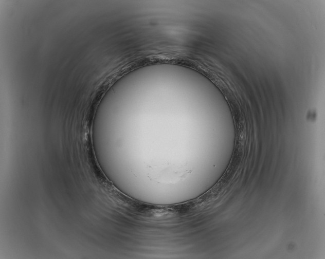 X0000095880555200801110807