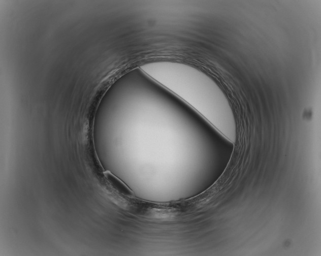 X0000095880556200801110807