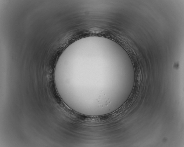 X0000095880559200801110807