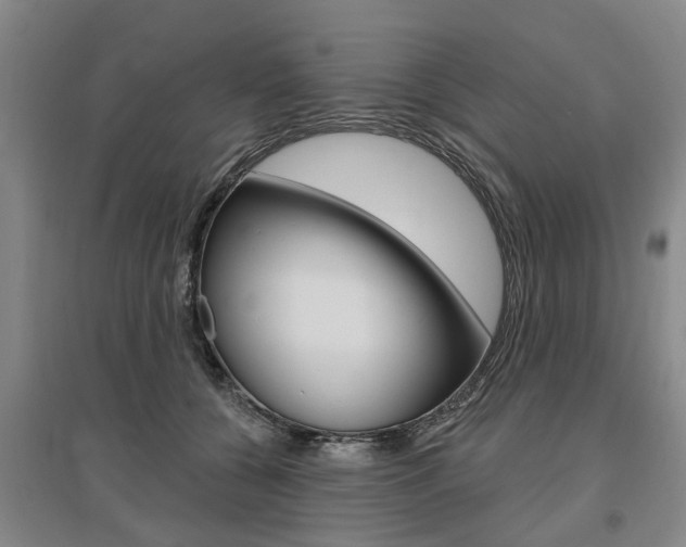 X0000095880560200801110807