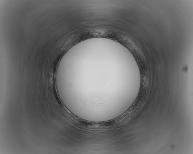 X0000095880561200801110807