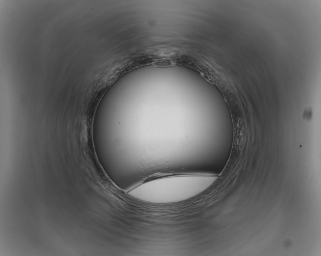 X0000095880562200801110807