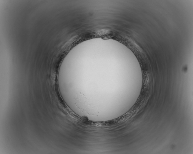 X0000095880565200801110807