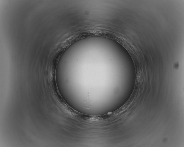 X0000095880566200801110807