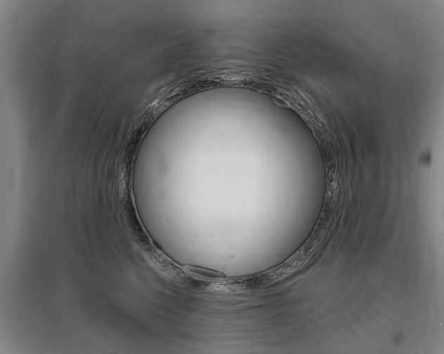 X0000095880568200801110807