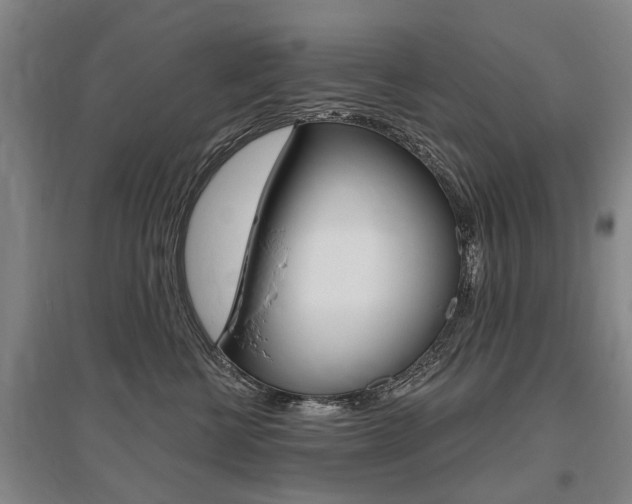 X0000095880570200801110807