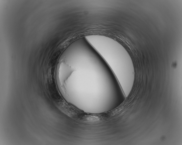 X0000095880572200801110808