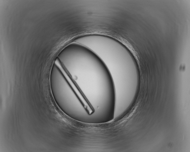 X0000095880577200801110807