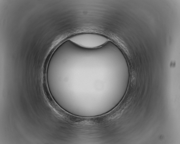X0000095880578200801110807
