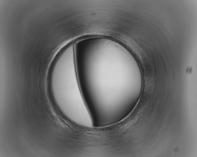 X0000095880580200801110807