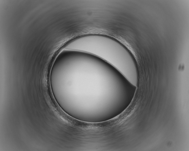 X0000095880581200801110807