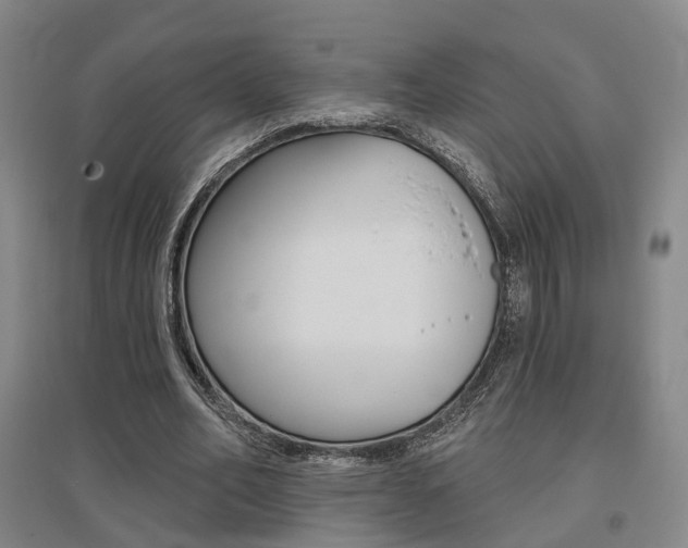 X0000095880582200801110807