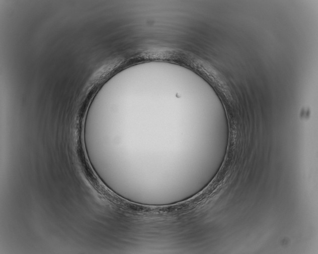 X0000095880586200801110807