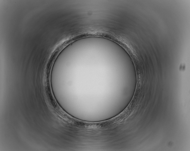 X0000095880587200801110807