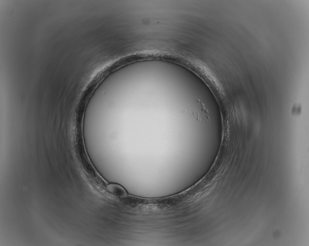X0000095880588200801110807