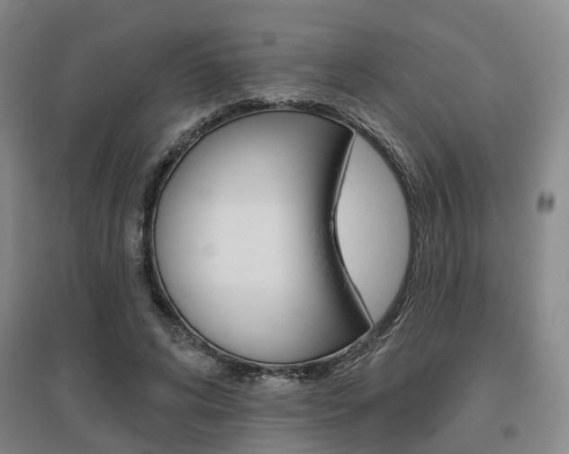 X0000095880592200801110807