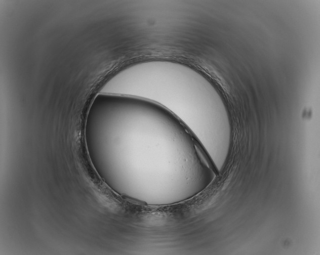 X0000095880593200801110807