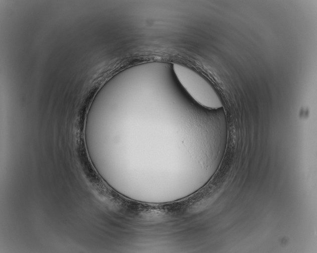 X0000095880594200801110807