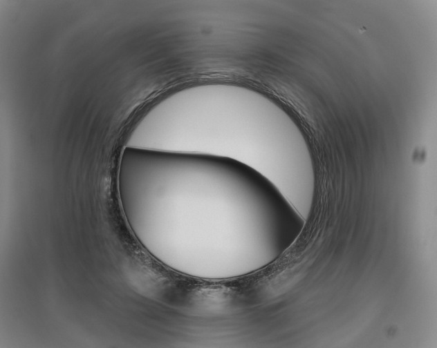 X0000095880595200801110806