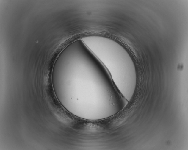 X0000095880596200801110806