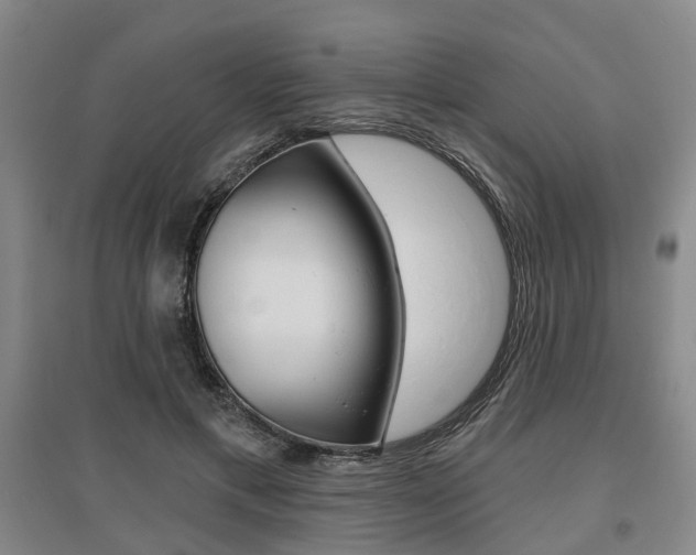 X0000095880597200801110806