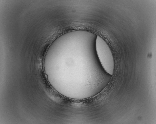 X0000095880598200801110806