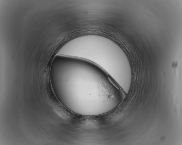 X0000095880601200801110806